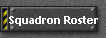 Squadron Roster
